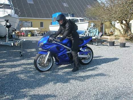 Suzuki sv (solgt) - så har den fået nanocover  billede 8