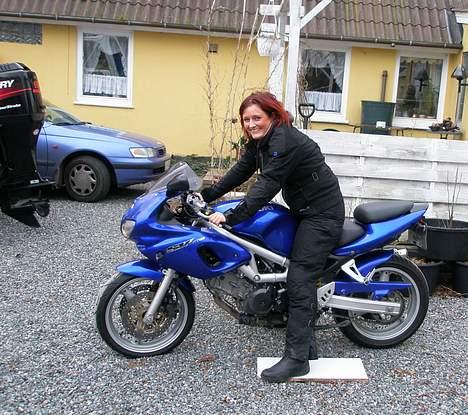 Suzuki sv (solgt) - endelig startet.. totalt fladt batteri billede 10