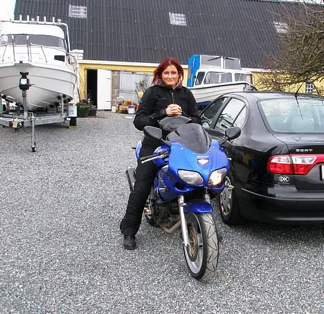 Suzuki sv (solgt) - billede af mine to køretøjer :o) billede 11