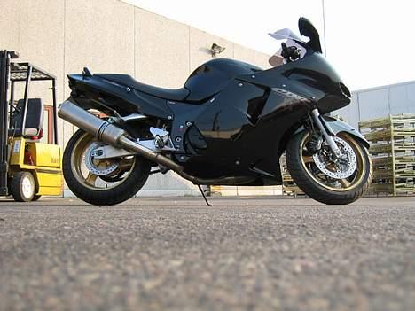 Honda Cbr 1100XX Super blackbir billede 5