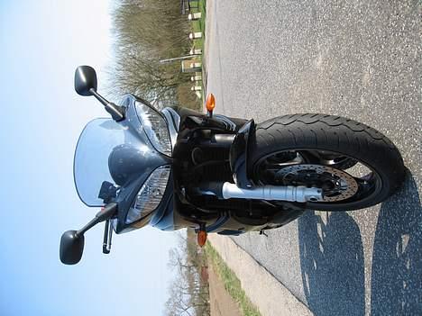 Yamaha FZ6-S billede 7