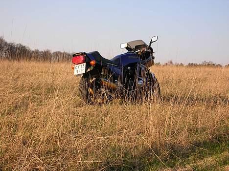 Honda CB1100F Bol d´Or - SOLGT billede 14