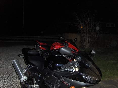 Yamaha YZF R6 (SOLGT) billede 2