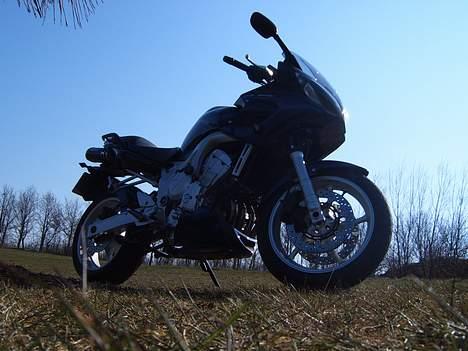 Yamaha FZ6 billede 7