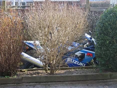 Suzuki GSXR600 #SOLGT# billede 17