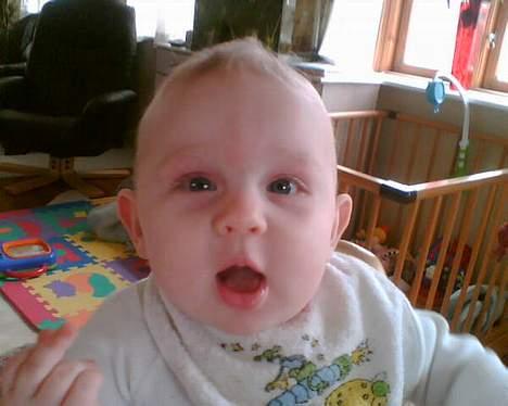 Suzuki LS 650 Savage  - Min datter der altid holder med far.. Tjek fingeren nede i venstre hjørne billede 16