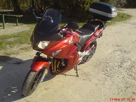 Honda CBF600SA  billede 6