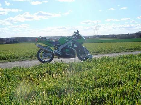 Kawasaki ZX6R SPECIAL MODEL :) billede 7