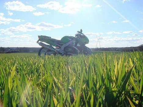 Kawasaki ZX6R SPECIAL MODEL :) billede 11