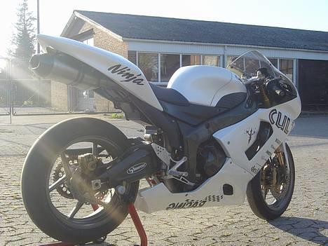 Kawasaki ZX6RR ( Solgt) billede 4