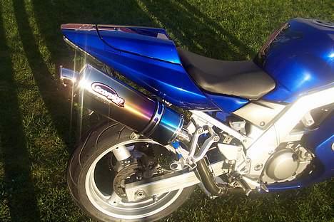 Suzuki SV650s (solgt tilbage) billede 11