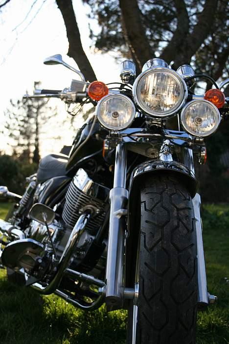 Lifan 250-4 Custom lowrider billede 16