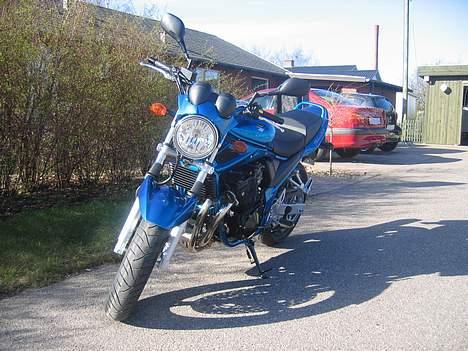 Suzuki GSF 650 Bandit billede 1