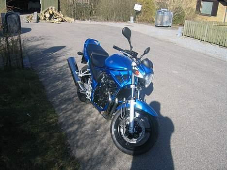 Suzuki GSF 650 Bandit billede 5