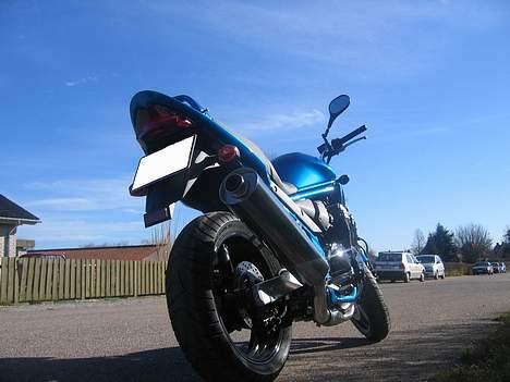 Suzuki GSF 650 Bandit billede 10