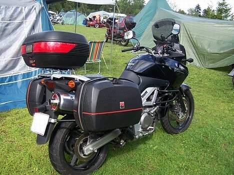 Suzuki DL-650 V-strom - V-strom på ferie bagfra billede 4