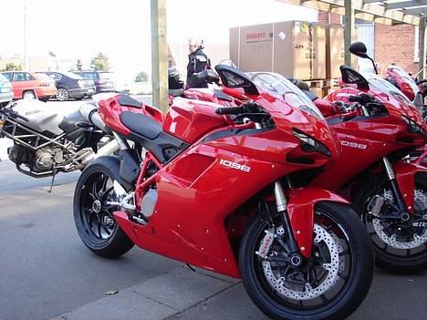 Ducati 1098  billede 5