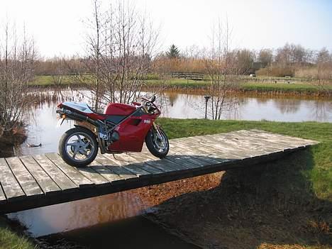 Ducati 996SPS - Ja ja... Det er måske ikke helt forår endnu, men solen skinnede og jeg skulle have taget nye billeder! billede 10