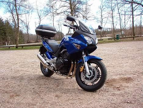 Honda CBF 600 SA billede 3