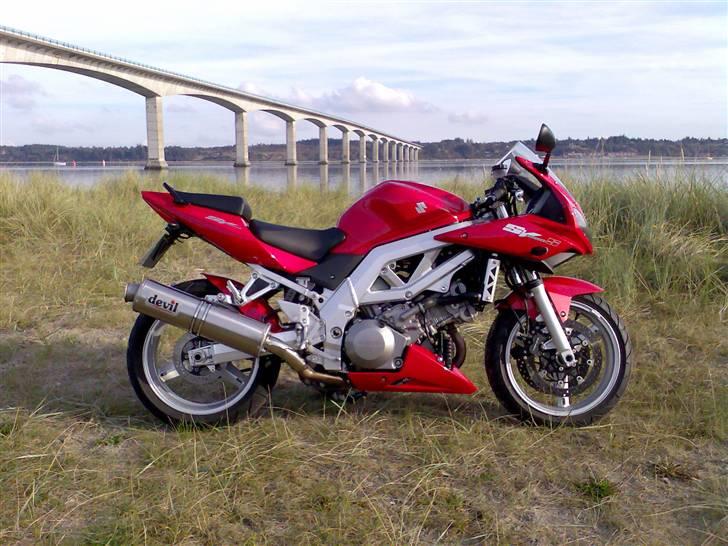 Suzuki SV 1000 S K4 - Nyt billede billede 1