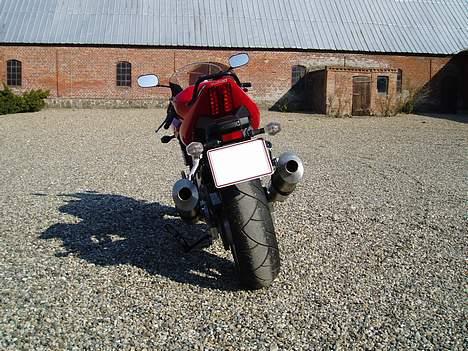 Suzuki SV 1000 S K4 - Det her er nok det eneste du får at se af mig derude! - men er det ikke også et kønt syn?! billede 6