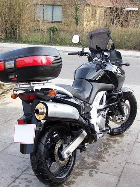 Suzuki DL-650 V-strom - V-strom skråt bagfra billede 5