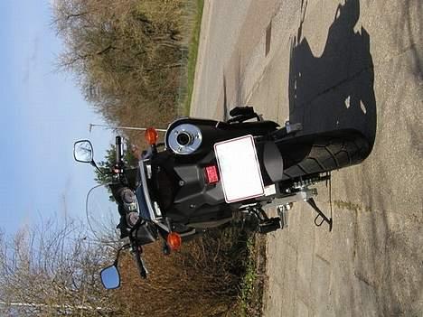 Suzuki DL-650 V-strom - Ny V-strom bagfra billede 13