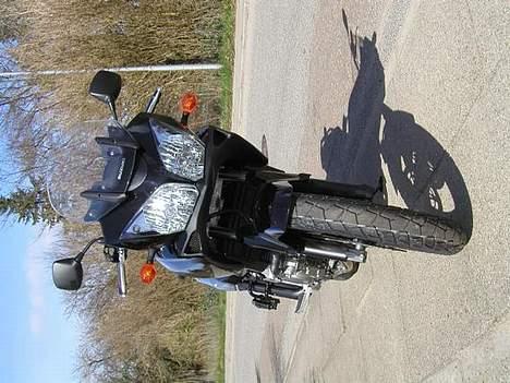 Suzuki DL-650 V-strom - Ny V-strom forfra billede 17