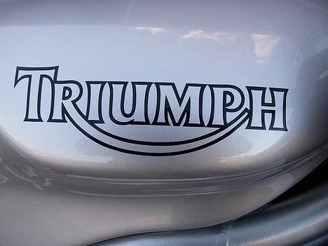 Triumph Daytona 955i billede 7