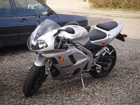 Triumph Daytona 955i billede 8