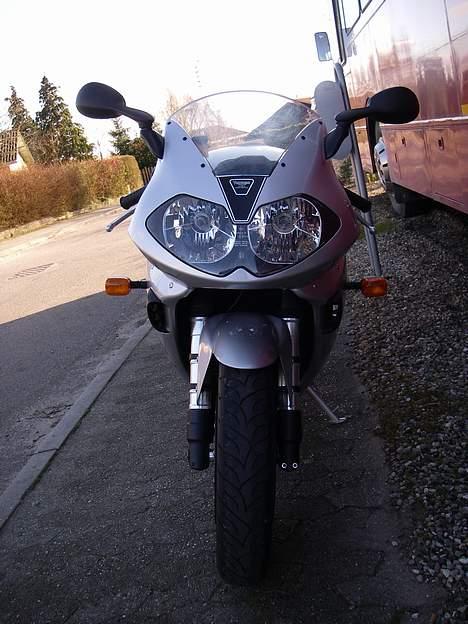 Triumph Daytona 955i billede 10