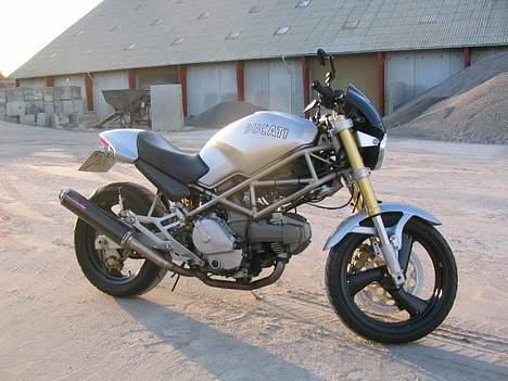 Ducati Monster 600 billede 5