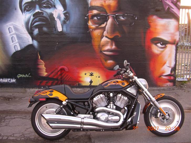 Harley Davidson sport Touring VRSCB billede 2