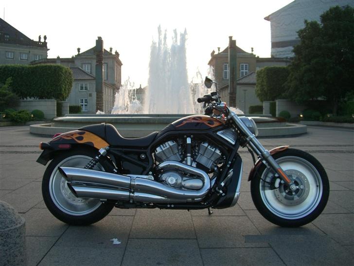 Harley Davidson sport Touring VRSCB billede 3