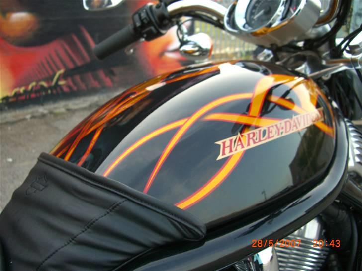 Harley Davidson sport Touring VRSCB billede 5