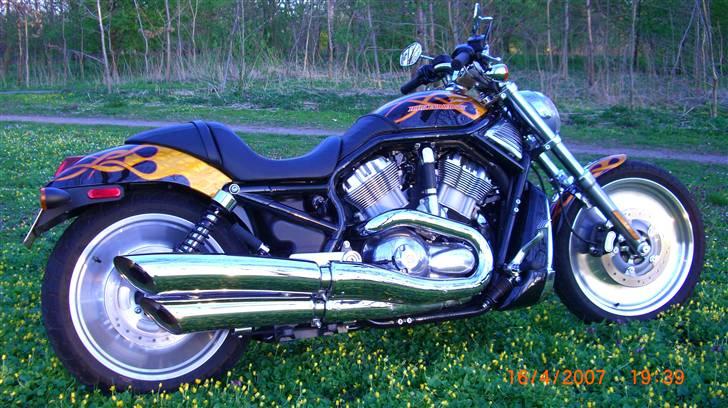 Harley Davidson sport Touring VRSCB billede 8
