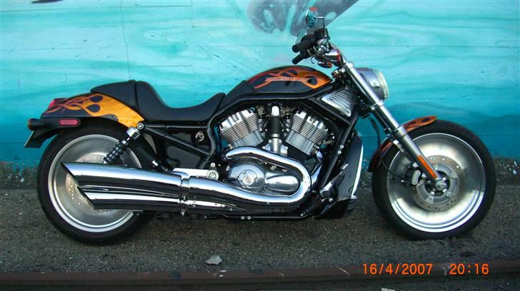 Harley Davidson sport Touring VRSCB billede 9