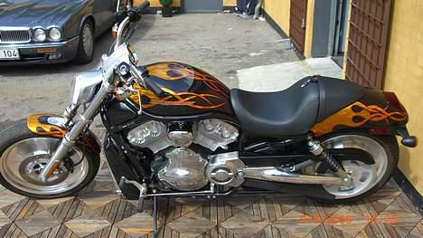 Harley Davidson sport Touring VRSCB billede 10