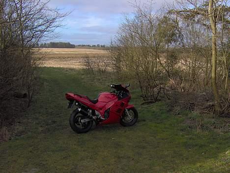Suzuki RF600R "SOLGT" billede 2