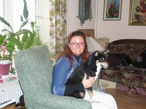 Suzuki sv (solgt) - min dejlige hund Kailo billede 12