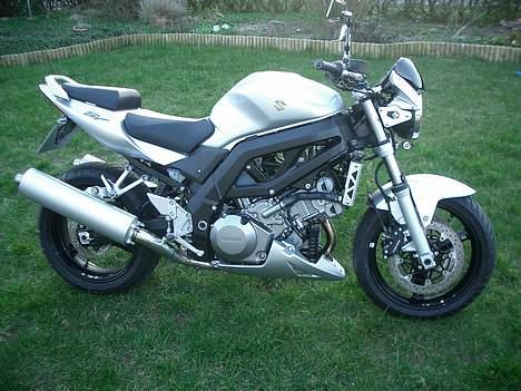Suzuki SV 1000 billede 1