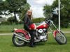 Harley Davidson FLH  Panhaed