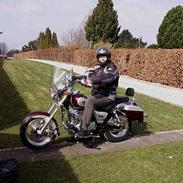 Lifan Fly Dragon 250-4