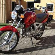 Honda CBF 250 TIL SALG
