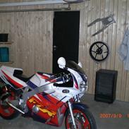 Yamaha FZR 600 Genesis