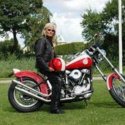 Harley Davidson FLH Panhaed