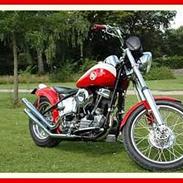 Harley Davidson FLH  Panhaed