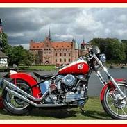 Harley Davidson FLH Panhaed