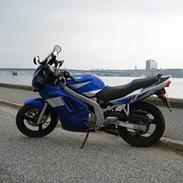 Suzuki GS 500 F (SOLGT)