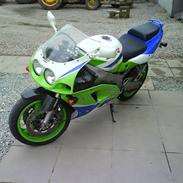 Kawasaki ZXR 750 (SOLGT)